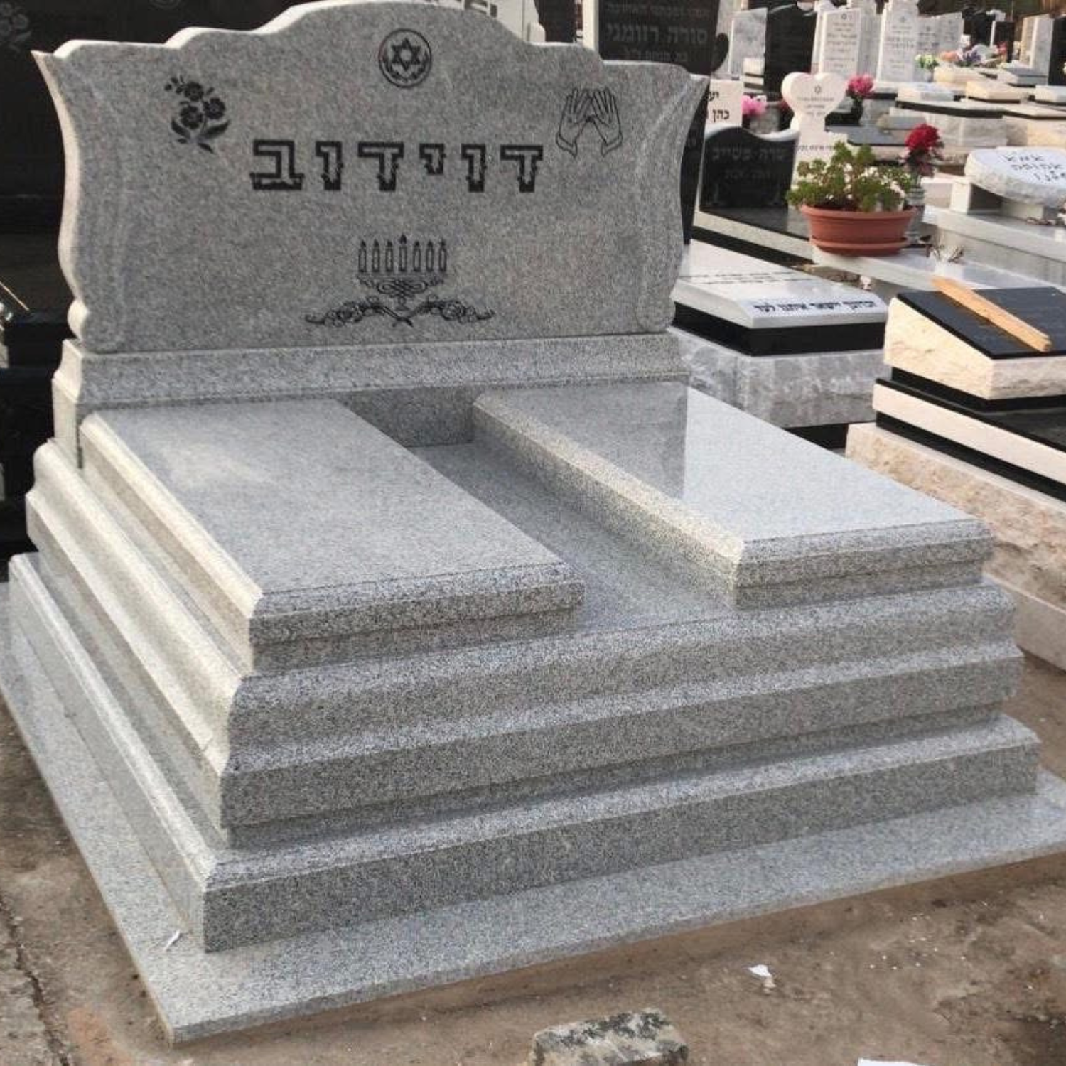 תמונה 9
